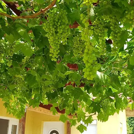 Pataki House * Mórahalom